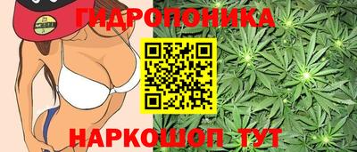 гидропоника Ачхой-Мартан