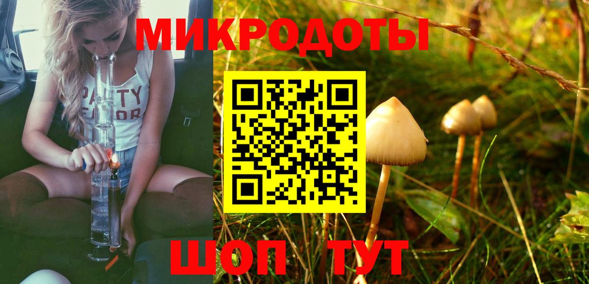 Галлюциногенные грибы ЛСД Великий Новгород